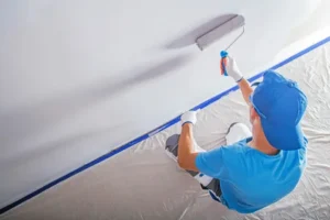 Painting Installation in Bellevue